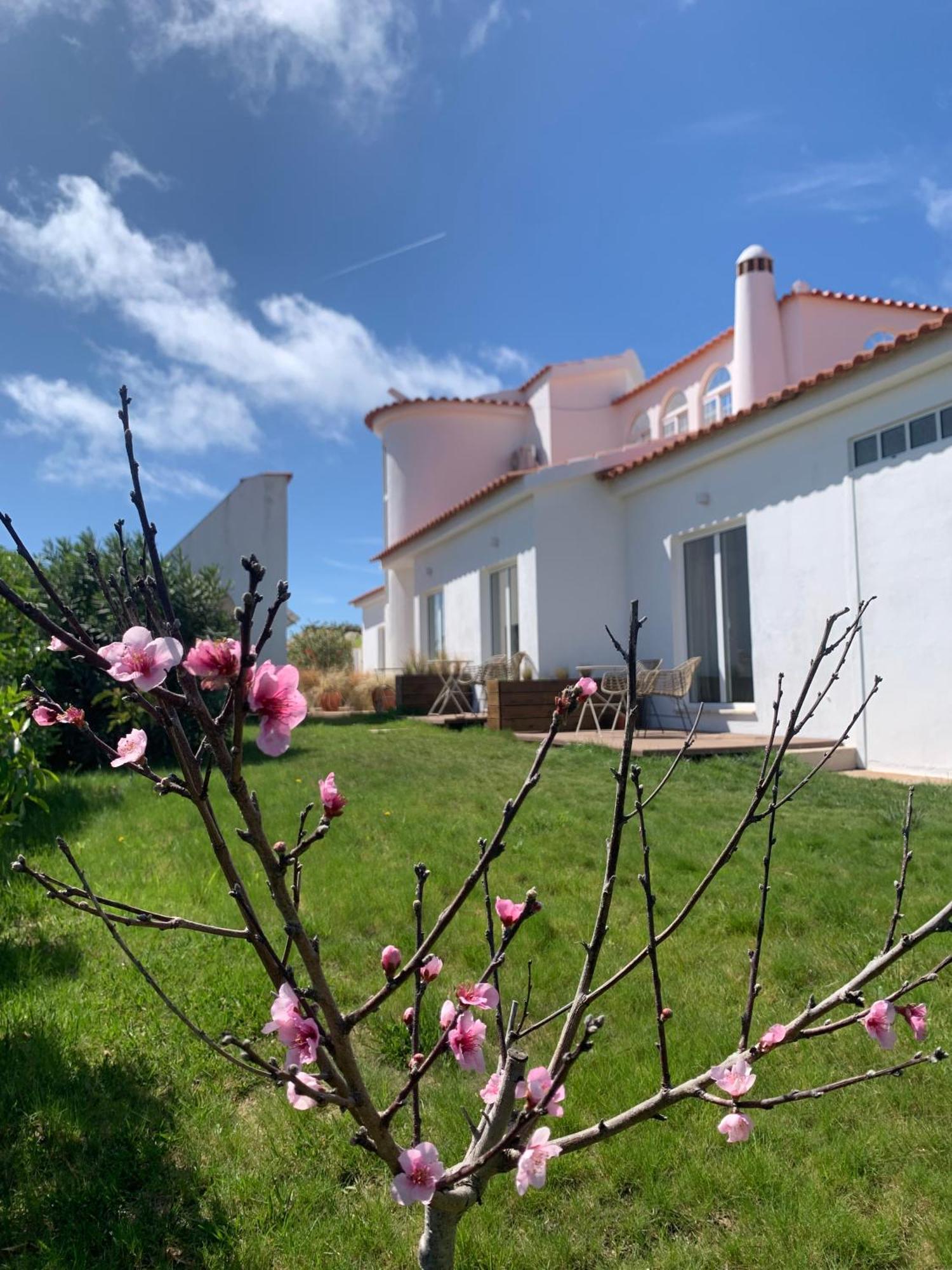 Sunday Morning Guesthouse Aljezur Exterior foto